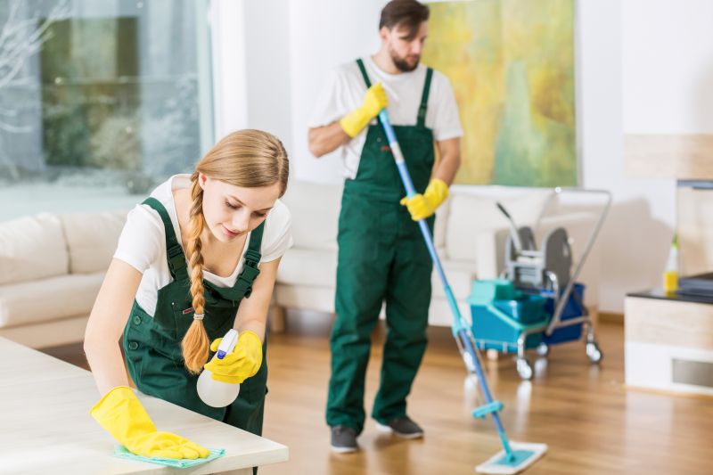Cleaning Professionals